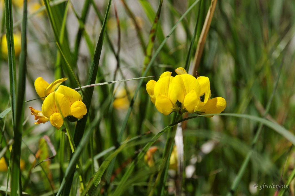 20120617_276
